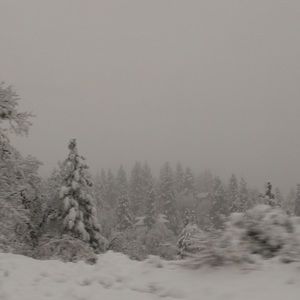 Meet your Posher, Babette